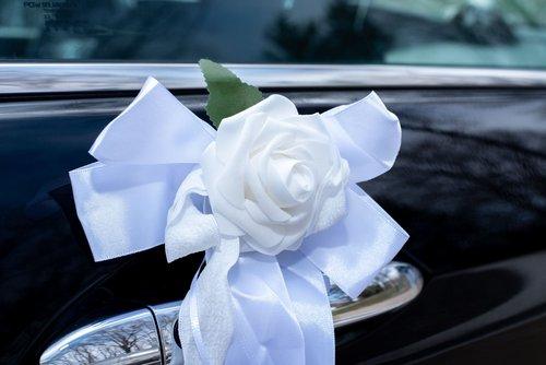 mobile - carousel-hero-element image-8