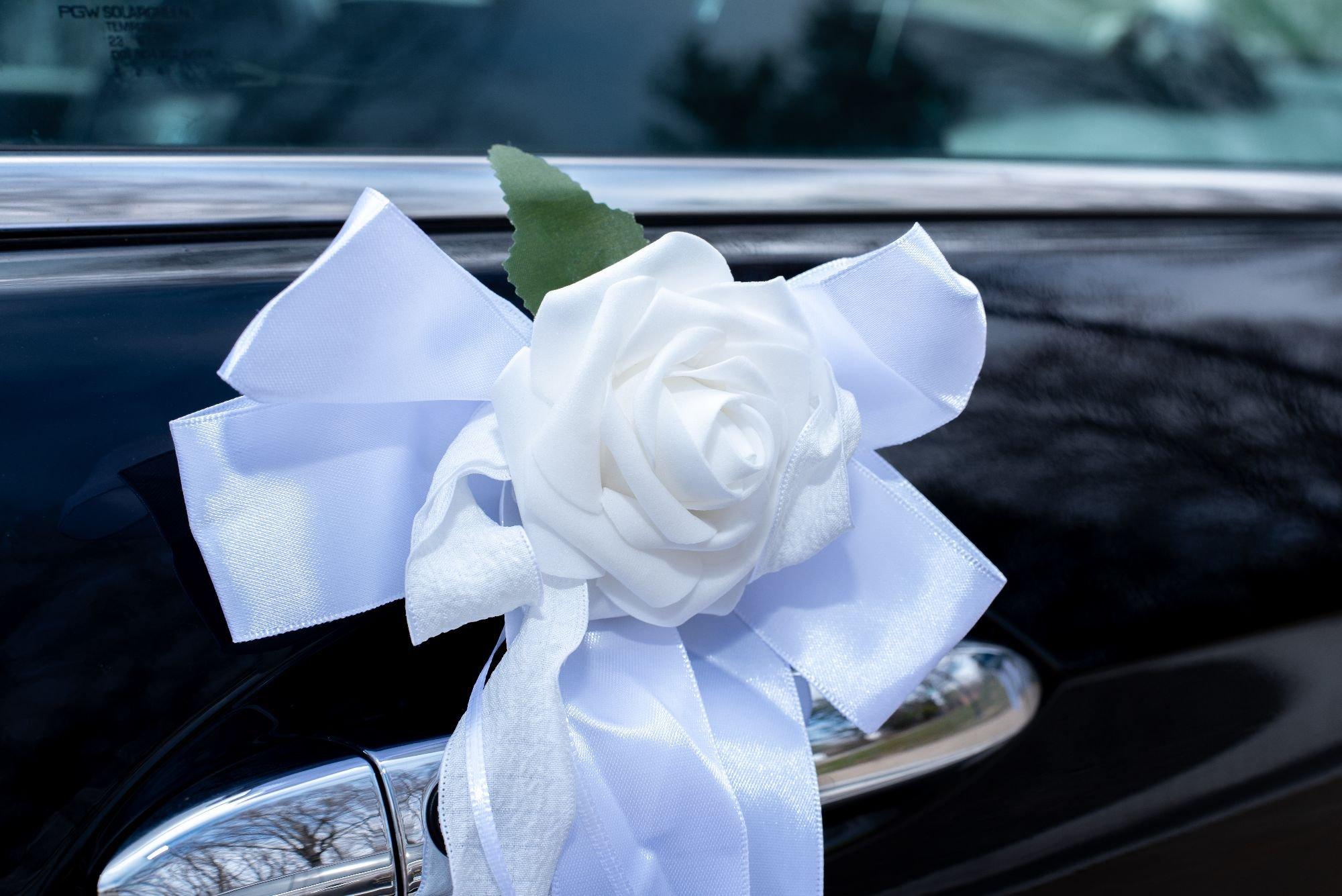 carousel-hero-element image-8